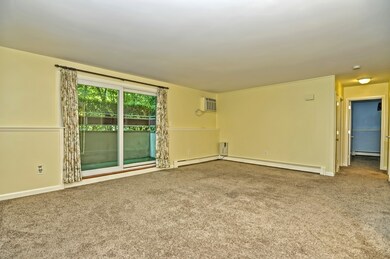 58 Jacqueline Rd unit 4, Waltham, MA 02452 - photo 7