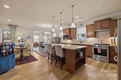 247 Olive St, Fort Mill, SC 29715 - photo 7