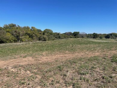 137 Lincoln Rd, Boyd, TX 76023 - photo 4