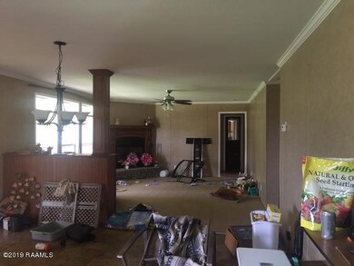 IMG_0011 (1)