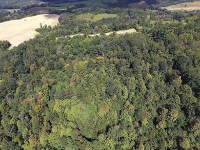 DJI_0004