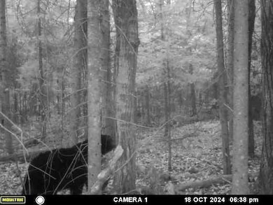 4100 Long Lake Rd, Cheboygan, MI 49721 - photo 7