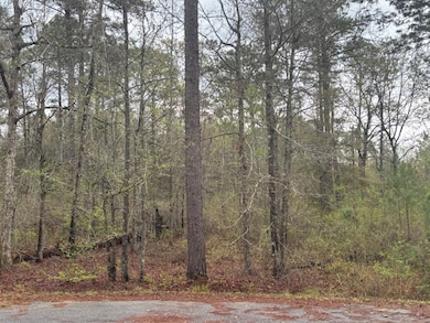 Lot 2 Jacquelyn Ct, Bainbridge, GA 39819 - photo 3