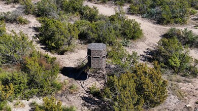 unlisted-address, Del Rio, TX 76950 - photo 2