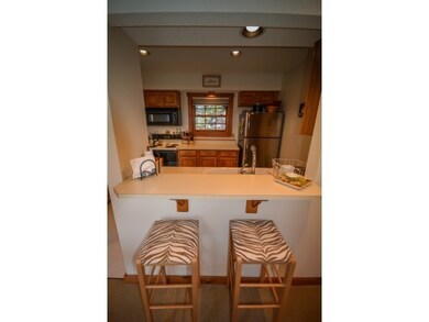 48 Greenspring Rd unit B, Dover, VT 05356 - photo 7