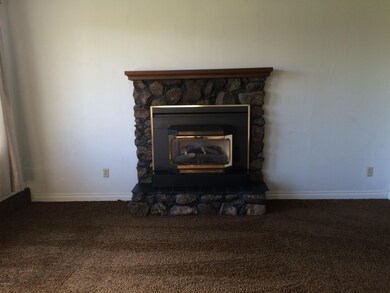 fireplace in LR