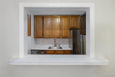 The Raymont unit 7G, Bronx, NY 10463 - photo 4