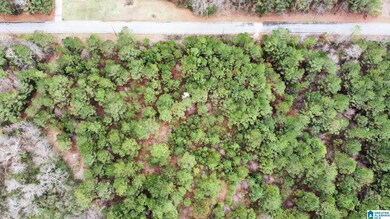 0 Stonegate Cir unit 21429355, Lincoln, AL 35096 - photo 7