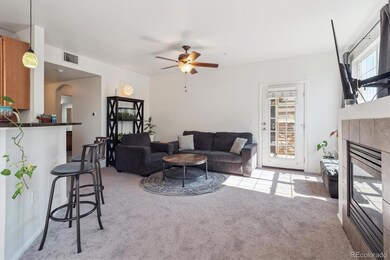 17388 Nature Walk Trail unit 202, Parker, CO 80134 - photo 6