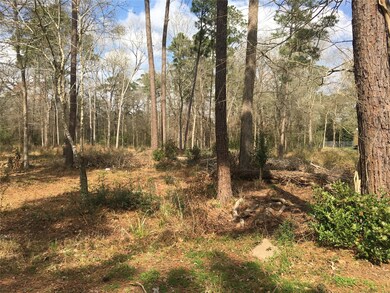 TBD Twin Deer Rd, Conroe, TX 77385 - photo 3