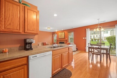 10033 Gettler St, Dyer, IN 46311 - photo 6