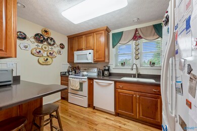 200 County Road 750, Cedar Bluff, AL 35959 - photo 7