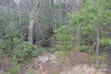 118 Crestline Dr unit 90, Marion, NC 28752 - photo 5