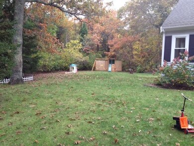Additional Photo