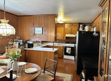 Digitally Edited Photo