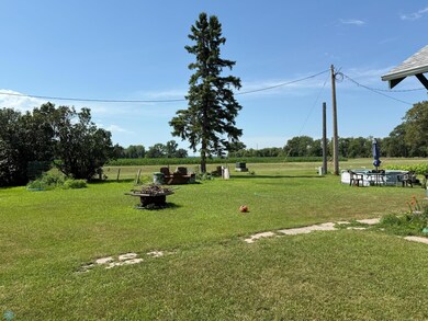 309 W 4th Ave S, Ada, MN 56510 - photo 5