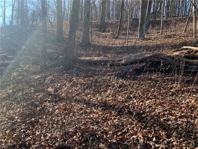 2933 Locust Trail, Jasper, GA 30143 - photo 5