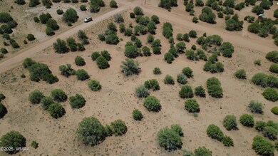 4409 E Pinto Rd, Snowflake, AZ 85937 - photo 7