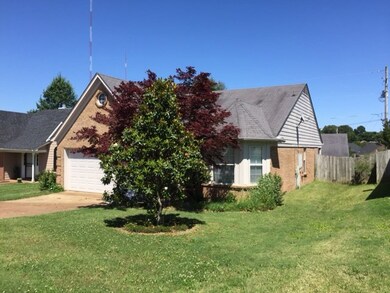 nice large backyard