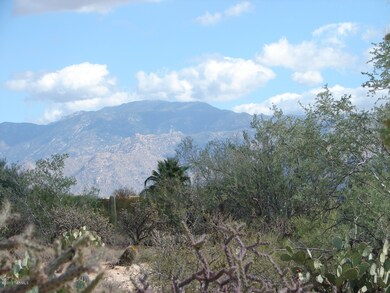 Mt. Lemmon view