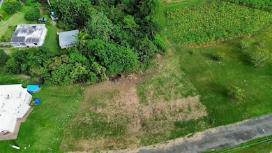 0 Bo Robles Parcela 7 unit MFRPR9116629, San Sebastian, PR 00685 - photo 3