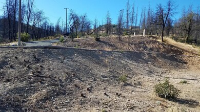 mule town 6