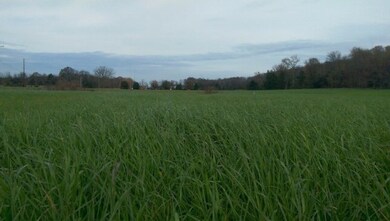 5.21 Ac Parragon Rd, Cookeville, TN 38506 - photo 6