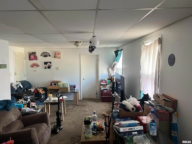 201 11th Ave, Fulton, IL 61252 - photo 2