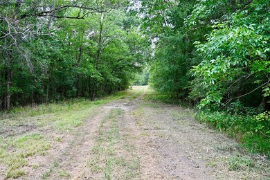 TBD W Fm 71, Talco, TX 75487 - photo 2