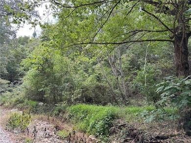 0 Lott Rd unit 1321515, Springdale, AR 72762 - photo 3