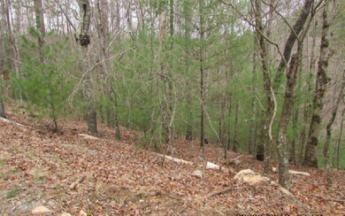 Additional View