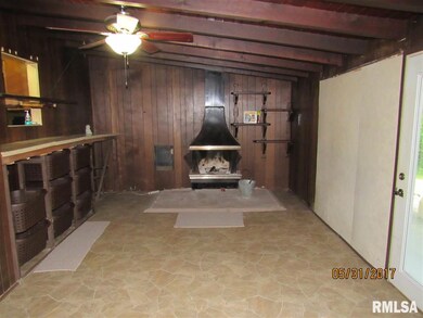 101 Ferry Rd, Geneseo, IL 61254 - photo 6