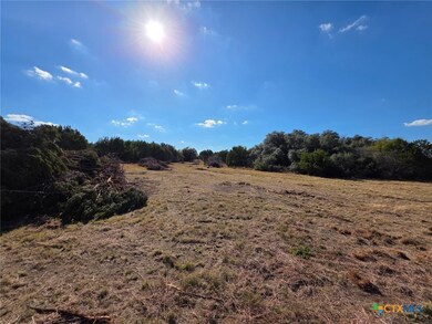 TBD Avila Ln, Briggs, TX 78608 - photo 4