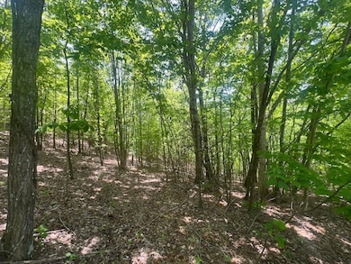 00 Cliffside Dr unit LotWP002, Hayesville, NC 28904 - photo 7