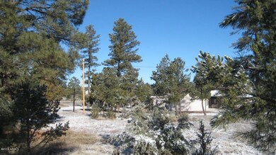 IMG_1940