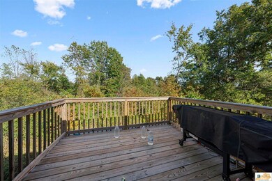 2398 Three Forks Rd, Smiths Grove, KY 42171 - photo 4