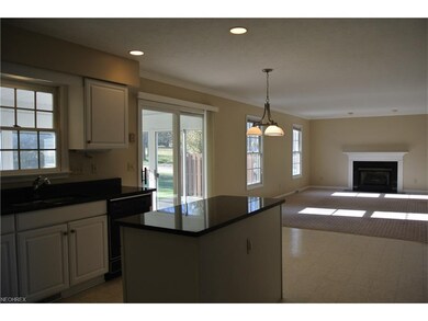 Open concept Kitchen