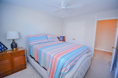 Carpeted bedroom with a closet and a ceiling fan