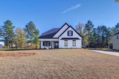 225 Living Waters Blvd, Lexington, SC 29073 - photo 2