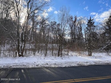 60 Cheltingham Ave, Schenectady, NY 12306 - photo 2