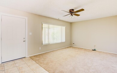 Living Room - 2