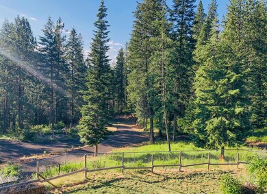 View of yard with a view of trees