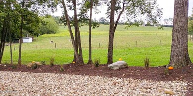 3171 Fultz Rd, McClure, PA 17841 - photo 6