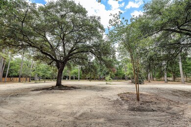 421 Blalock Rd, Houston, TX 77024 - photo 7