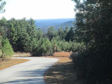 N31 Mountain Laurel Dr, Salem, SC 29676 - photo 3