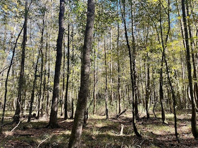 000 Hwy 35, Collins, MS 39428 - photo 6