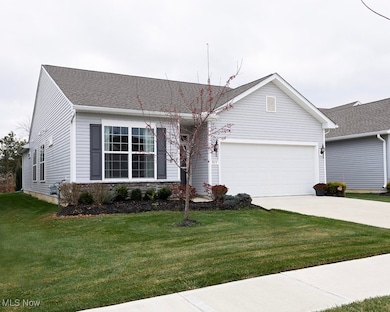 811 Cedar Crest Dr, Elyria, OH 44035 - photo 2