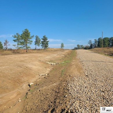 195 Simba Ln, Calhoun, LA 71225 - photo 3