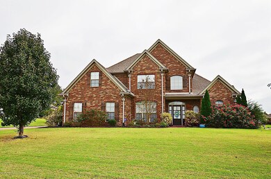 Front View