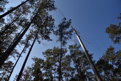 1220 SE US Highway 301 unit LotWP001, Hawthorne, FL 32640 - photo 6